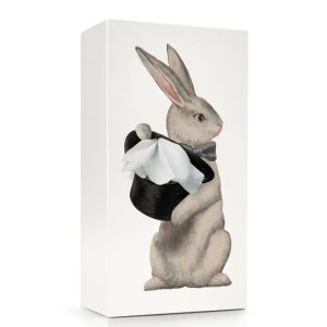 Wonder Rabbit Tissue Box