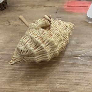 Conch Shell Gravy Tureen, Artist Signed "Poodle"