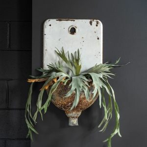 Garden Wall Sink